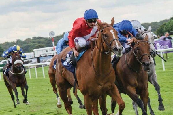 Horse racing