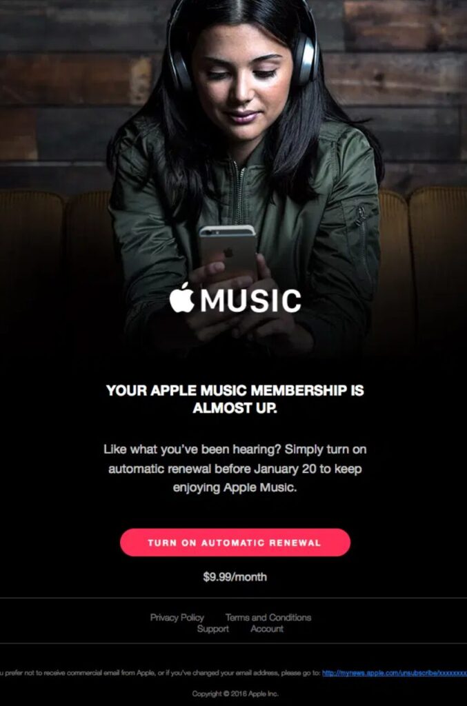 Apple email example - subscription renewal automation flow 