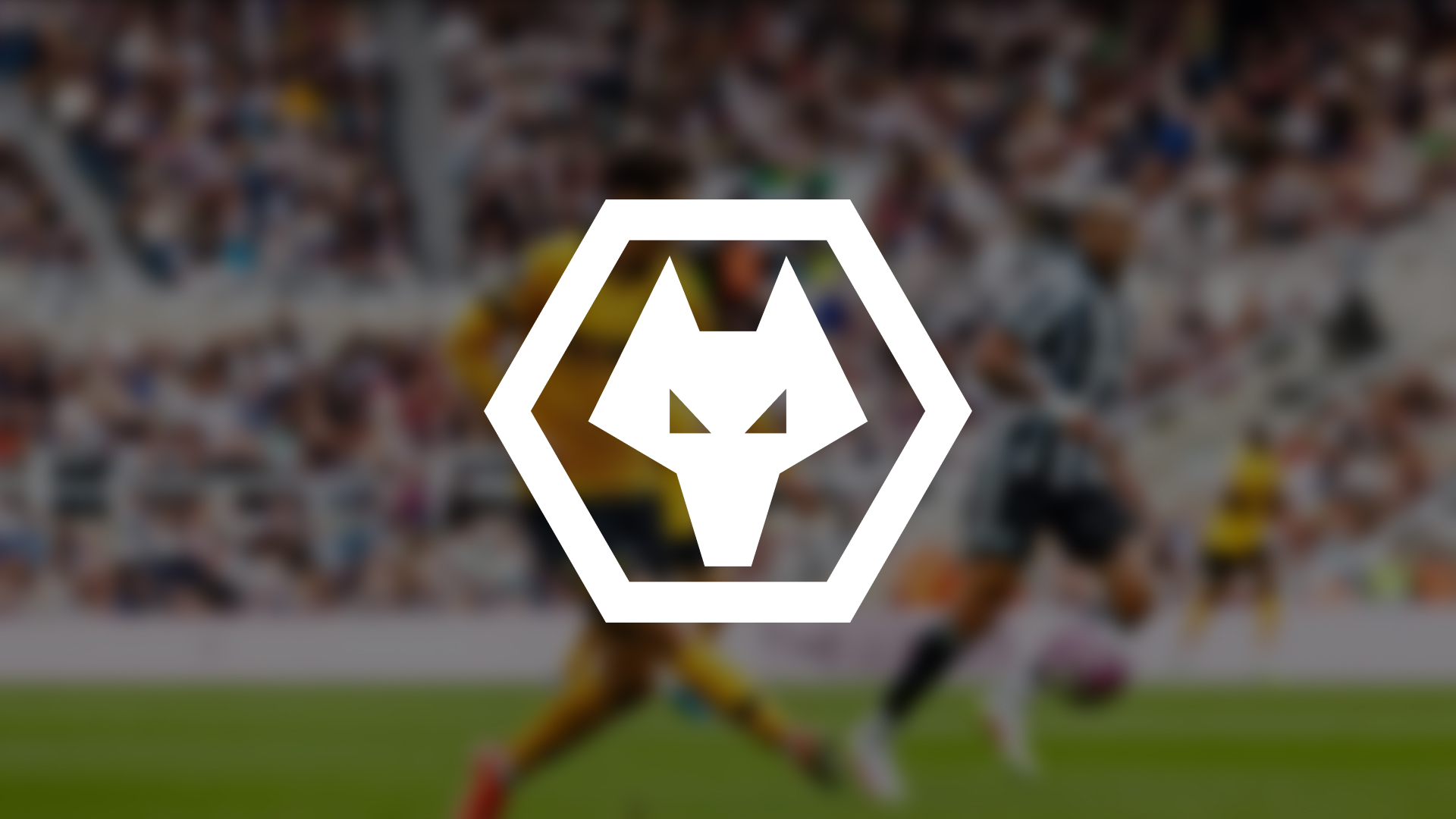 Wolves wins big with cart abandonment emails and personalization ...